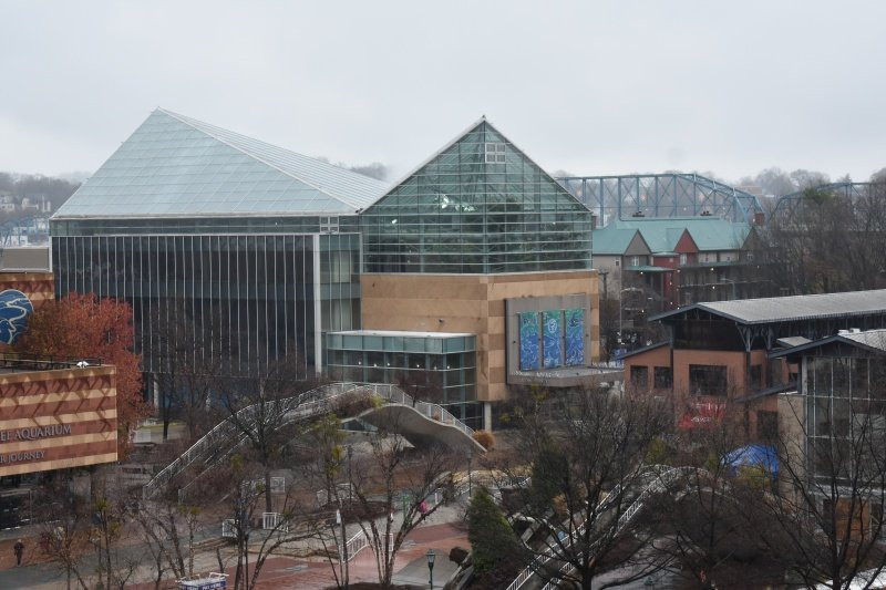 Courtyard by Marriott Chattanooga Downtown主图