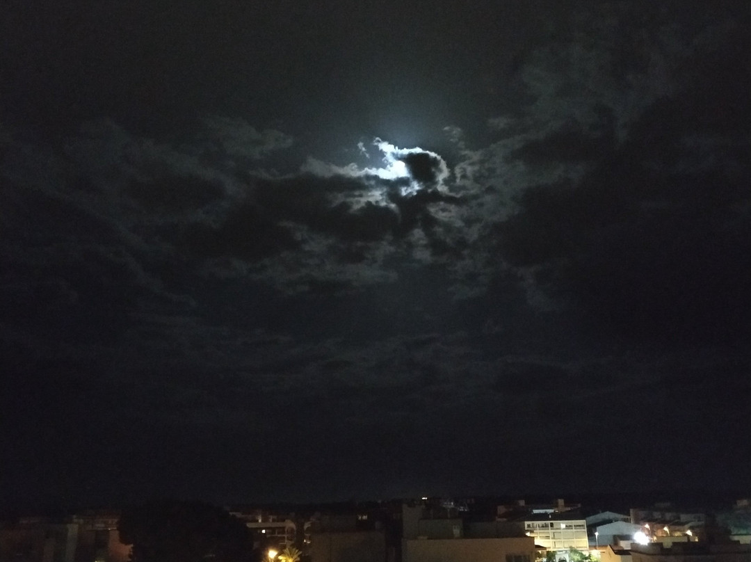 圣米歇尔海之女王酒店主图