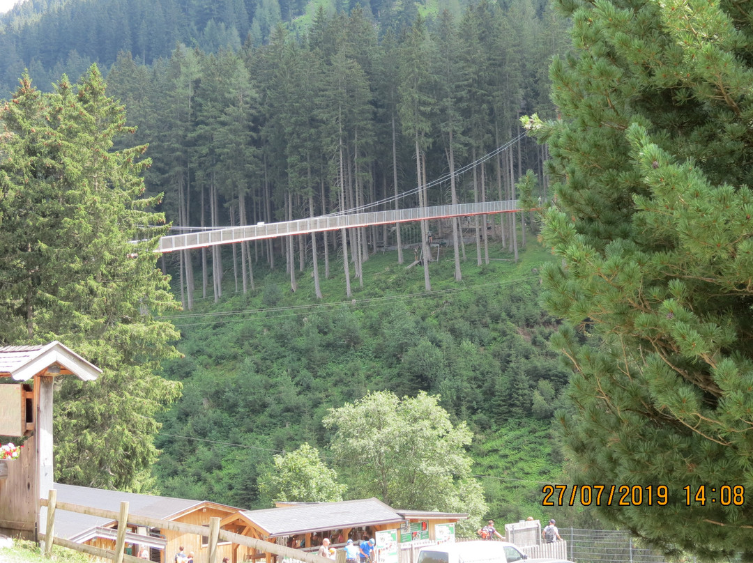 Baumzipfelweg景点图片