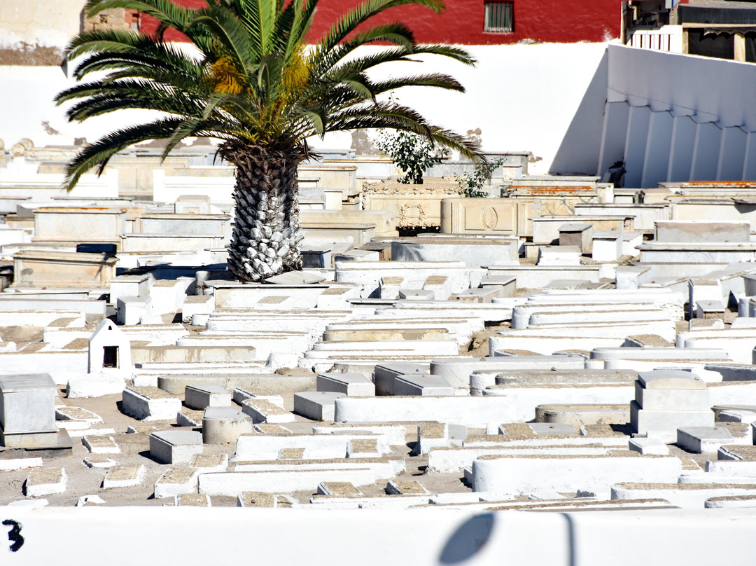Jewish Cemetery of El Jadida-摩洛哥-马扎甘葡萄牙城必去景点