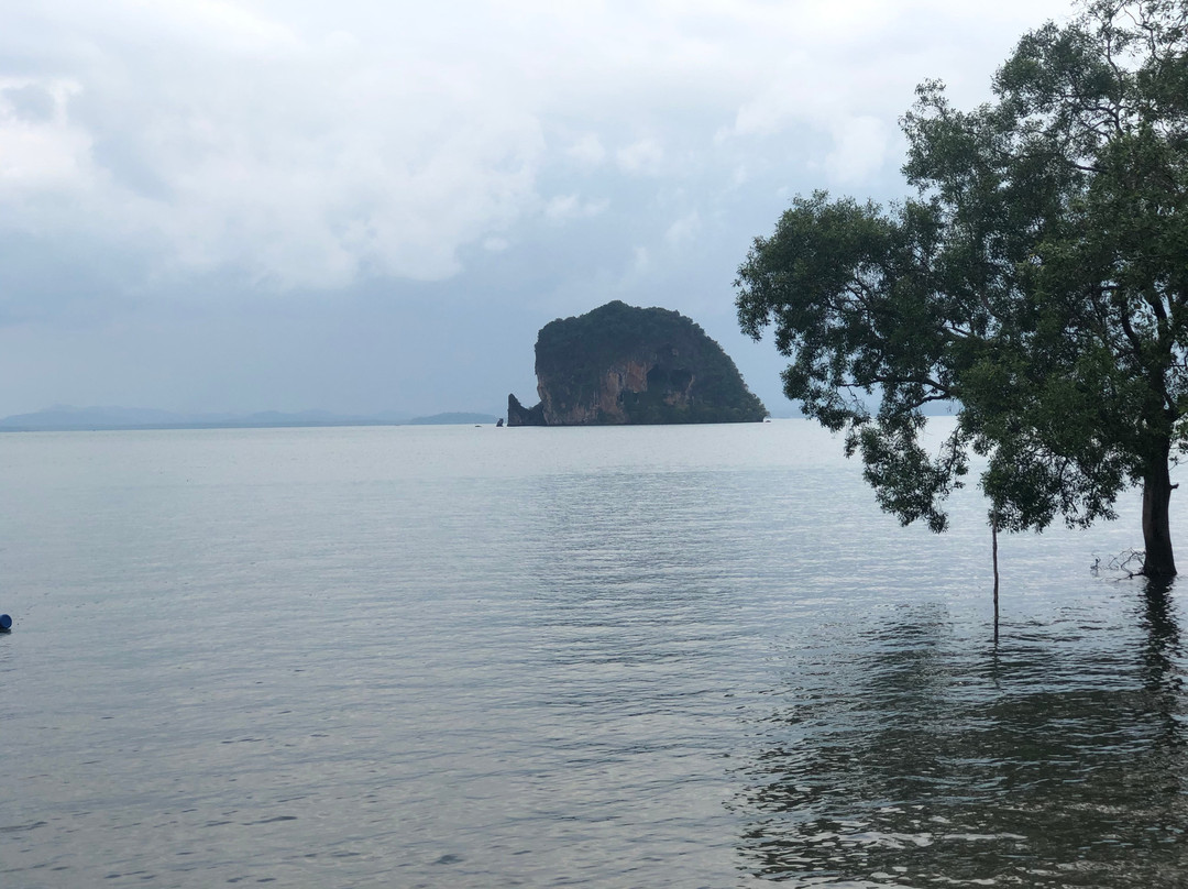 E-Bike Tours and Rental-Ban Sala Dan必去景点