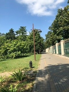Botanical Garden of Professor I. S. Kosenko景点图片