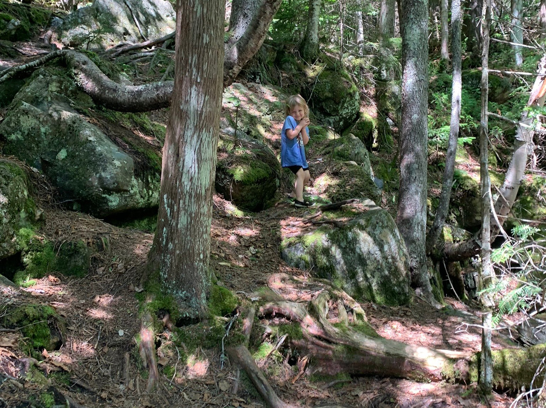 Cascade Stream Gorge Trail景点图片