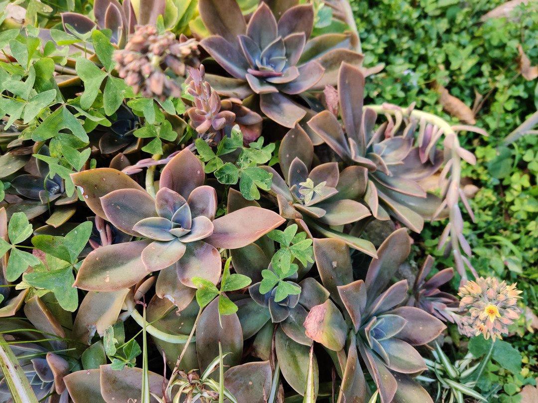 日落大酒店主图