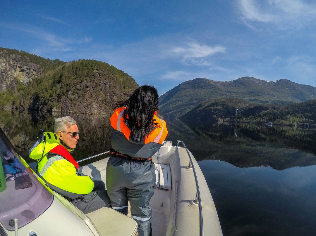 Norway Fjord Travel景点图片