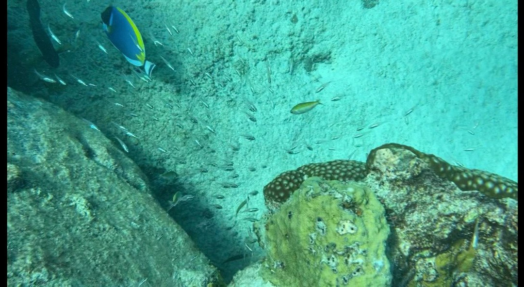 Medsye Travel & Tours-泰曼必去景点