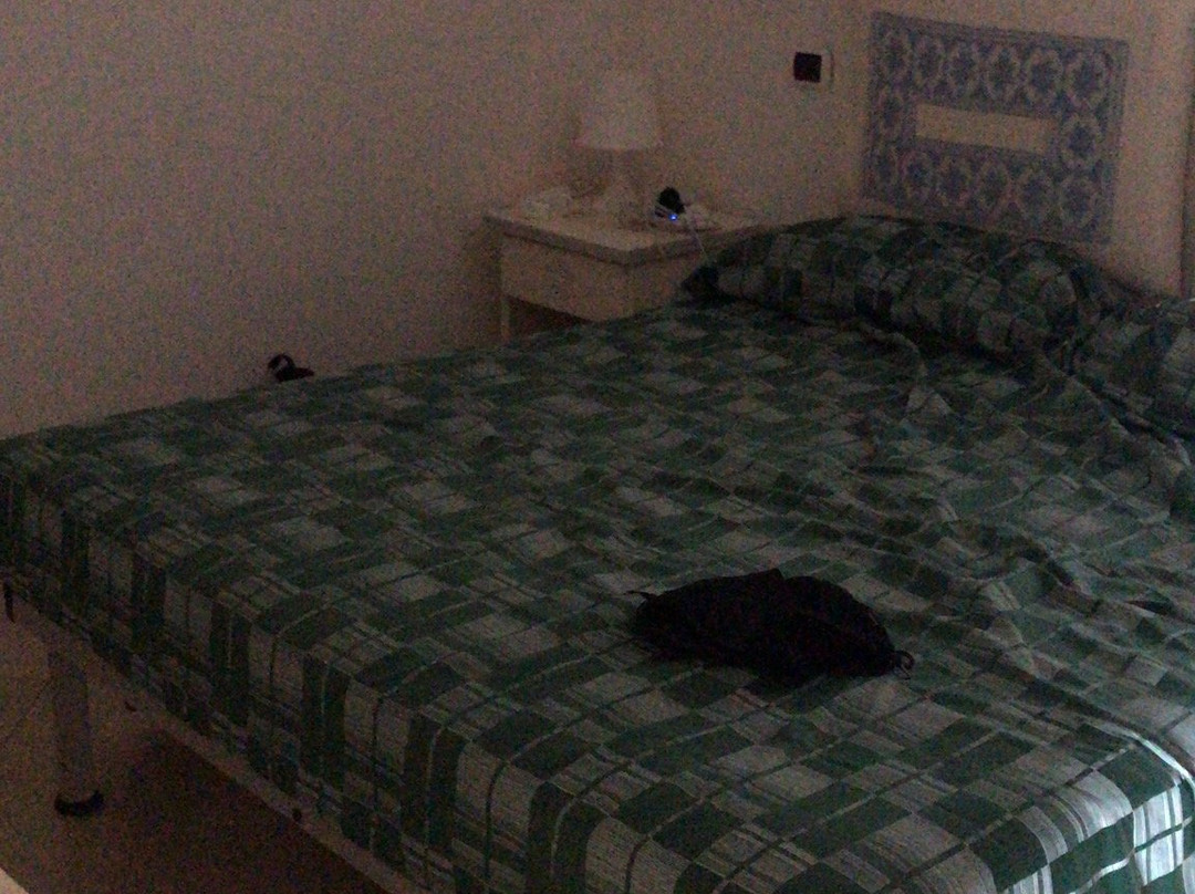 Reggia Di Nausicaa E Olimpo主图