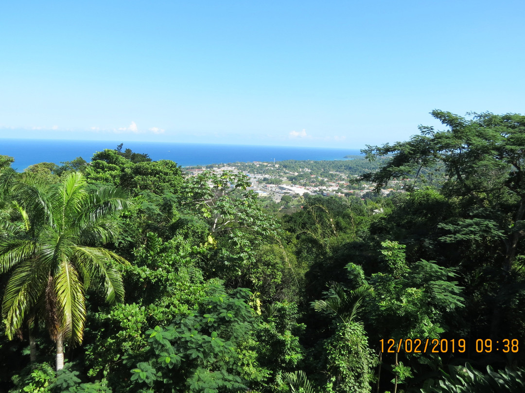 Jamaica Get Away Travels - Private Tours-蒙特戈贝必去景点