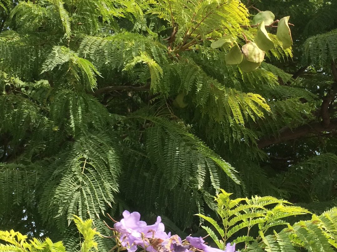 Valencia Bikes-巴伦西亚必去景点