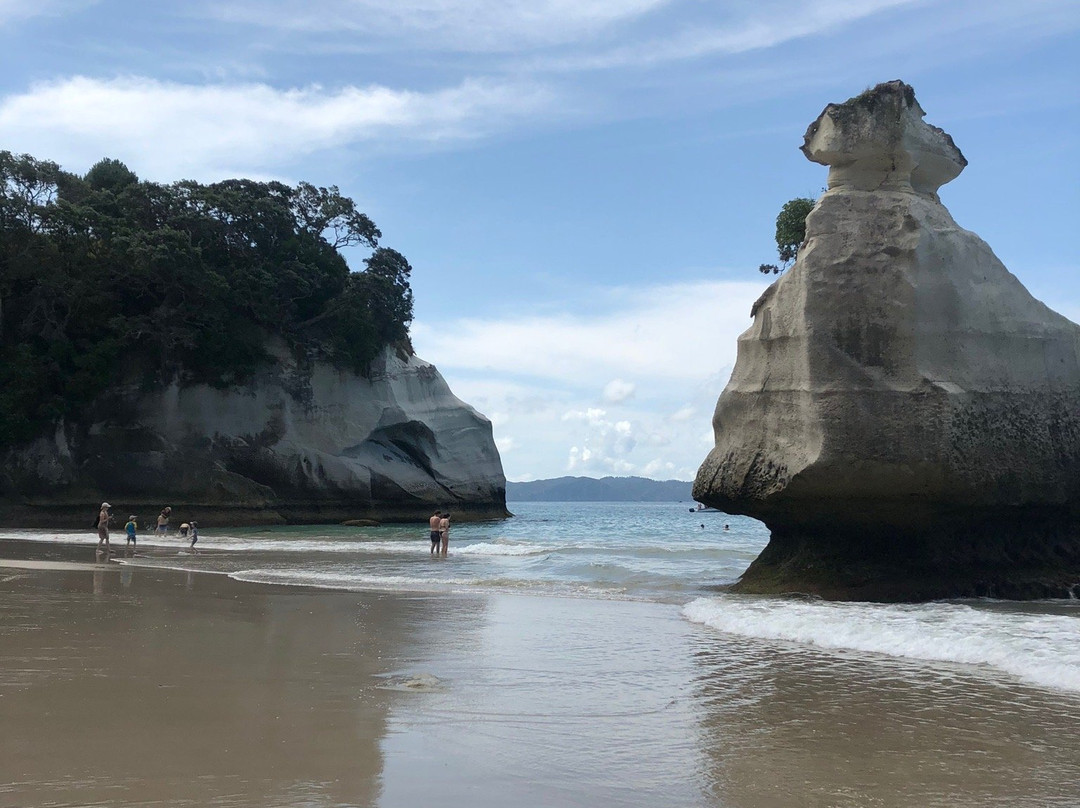 Aotea Roadies - Day Tours-奥克兰中心地区必去景点