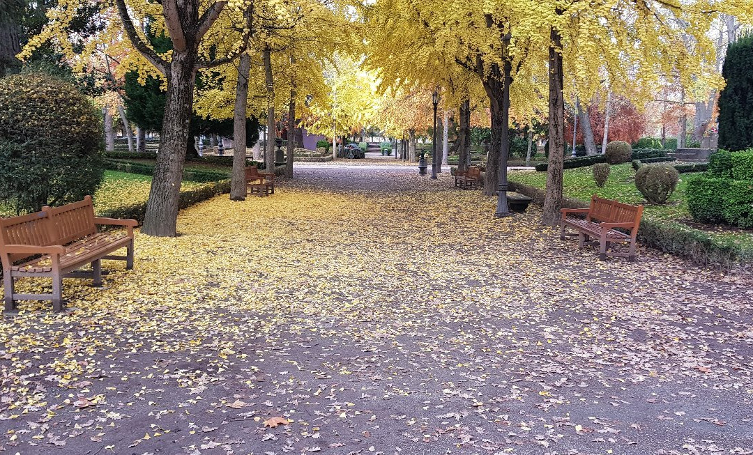 Parroquia San Lorenzo-潘普洛纳必去景点