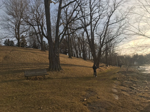 Webster Park-Webster必去景点