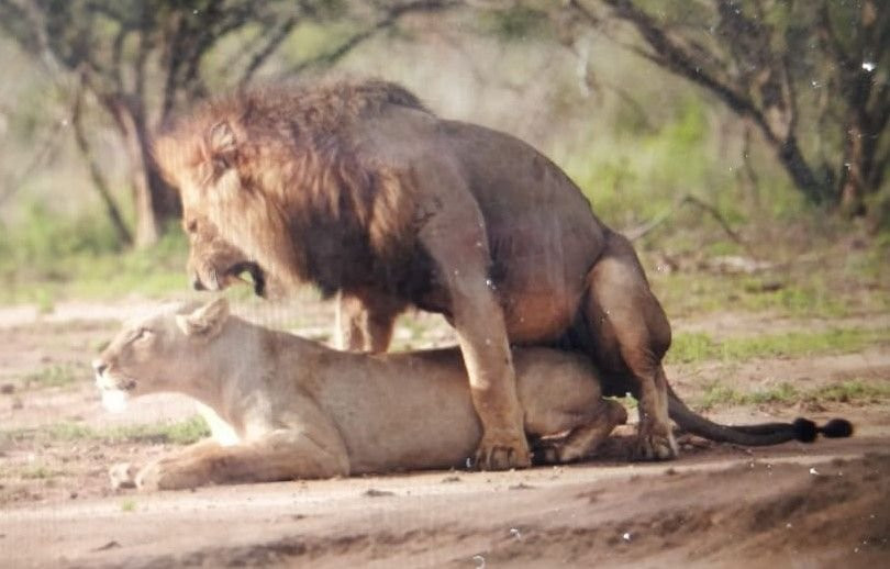 Inkosi Tours and Transfers-普马兰加省必去景点