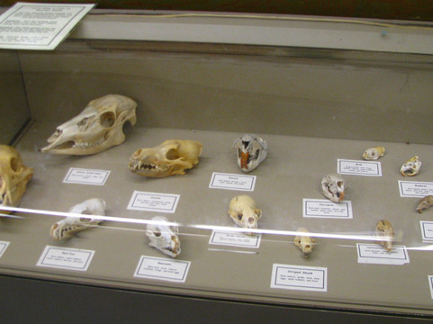 Mosquito Hill Nature Center-New London必去景点