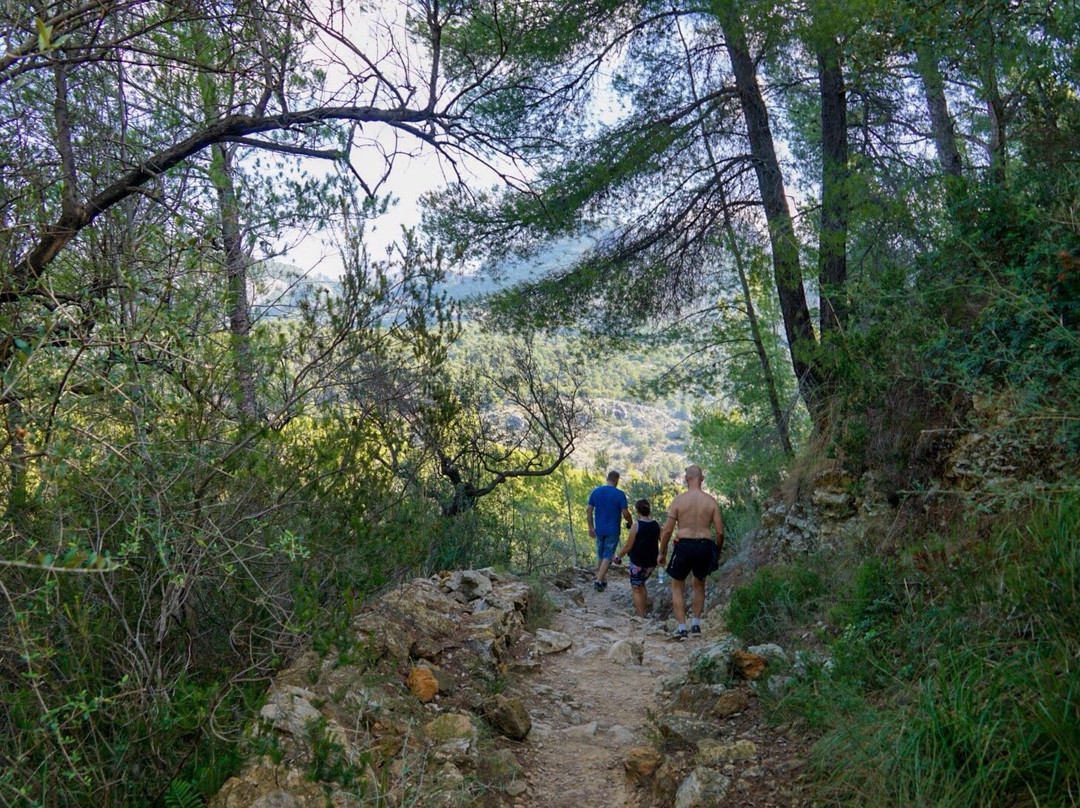 Camino de Mallorca GR221景点图片