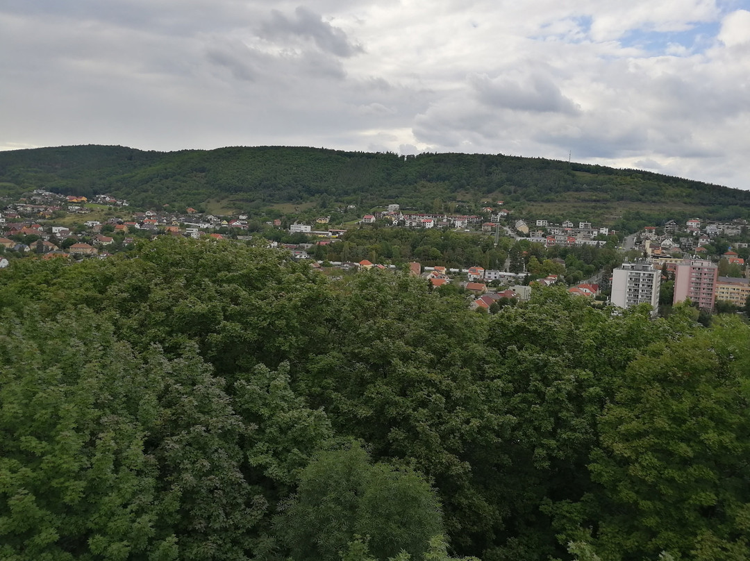 Lookout tower Městská hora景点图片