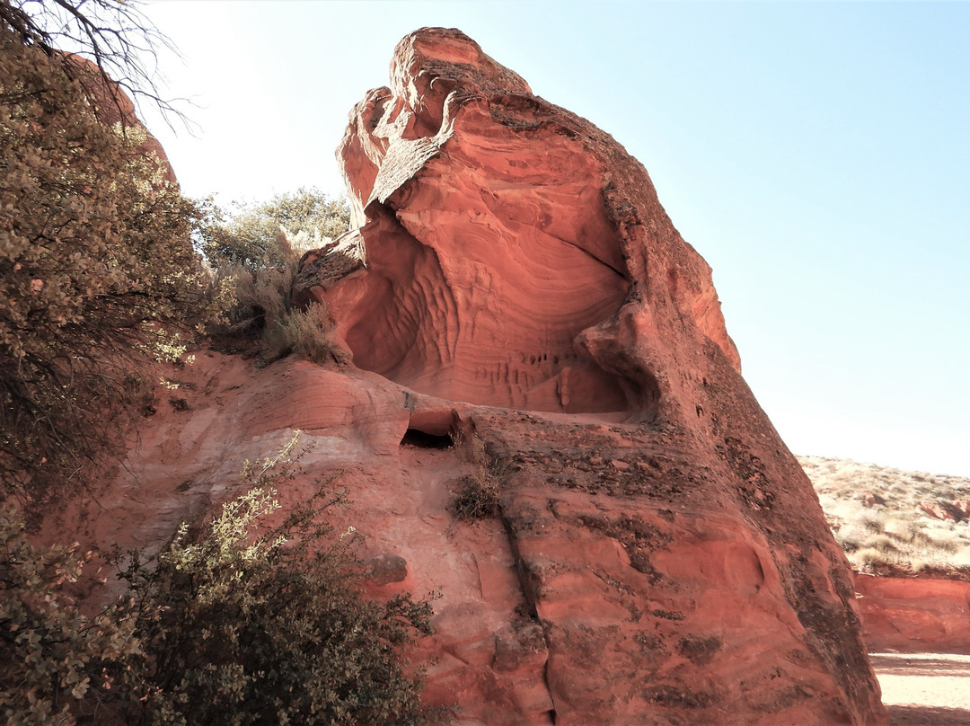 Red Cliffs National Conservation Area-圣乔治必去景点