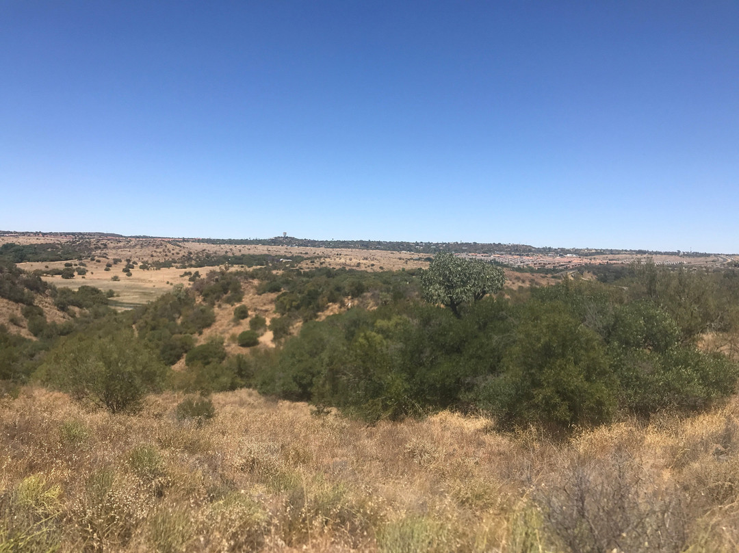 Free State National Botanical Garden-布隆方丹必去景点
