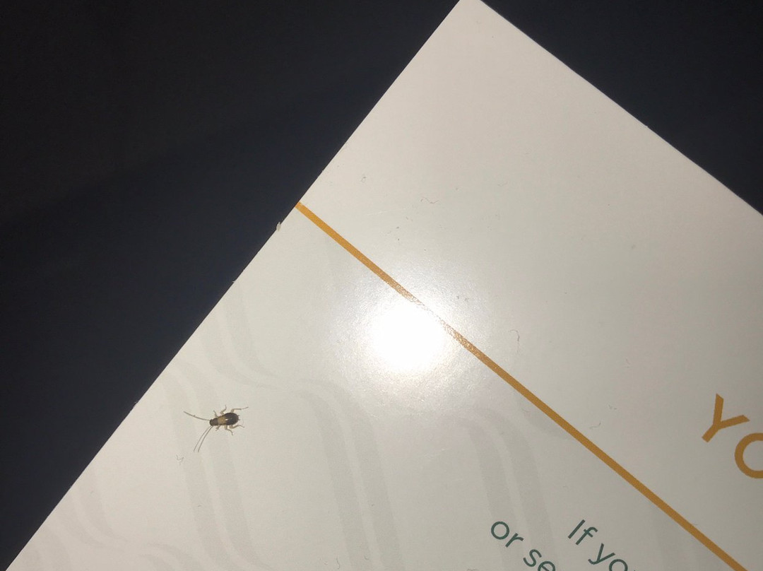 Quality Inn & Suites Heritage Park主图