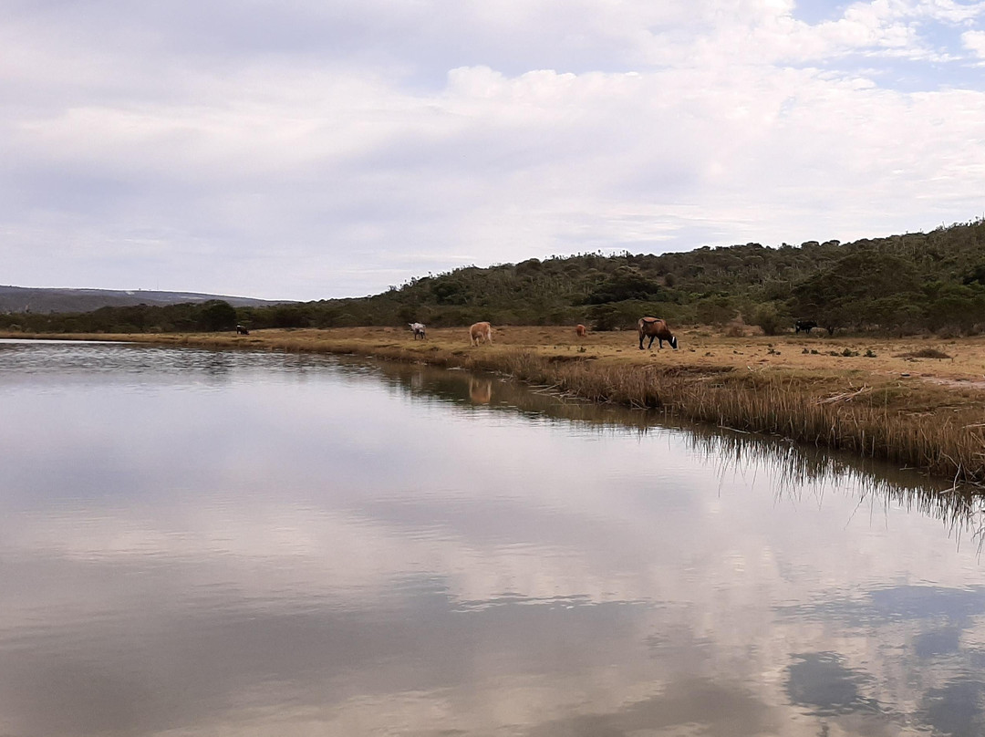 Hamburg旅游攻略图片