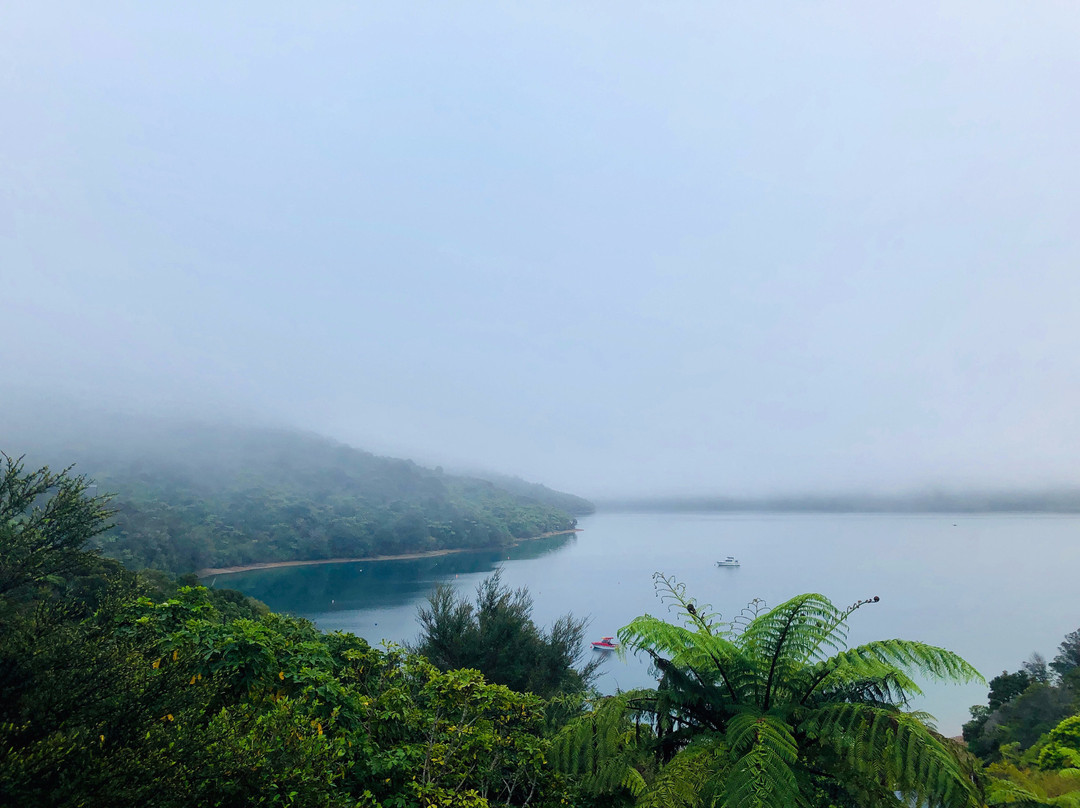 Punga Cove Resort主图