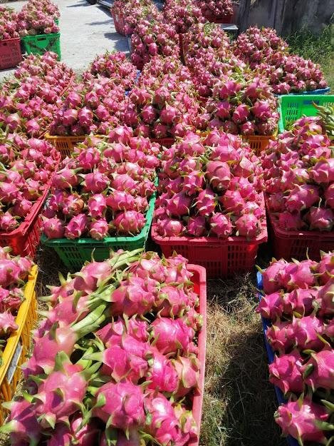 My Tam Travel-美奈必去景点