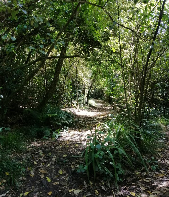 Garden of Tane-阿卡罗阿必去景点
