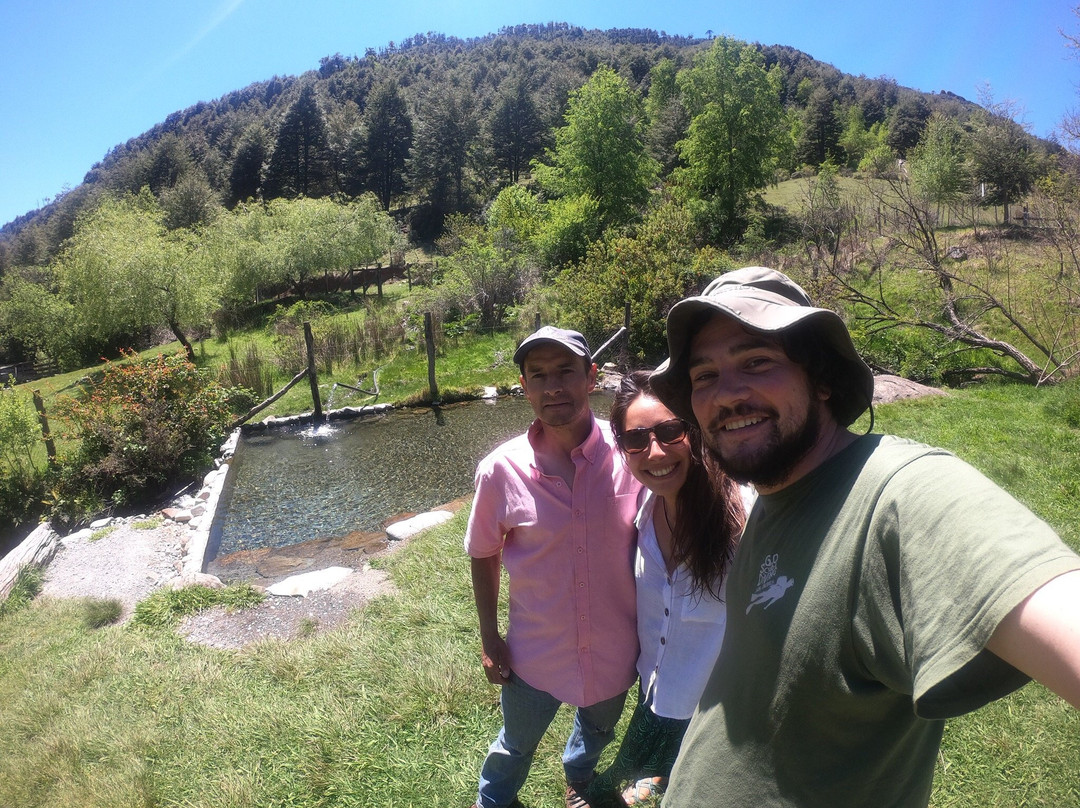 Eco Termas Rio Blanco-普孔必去景点