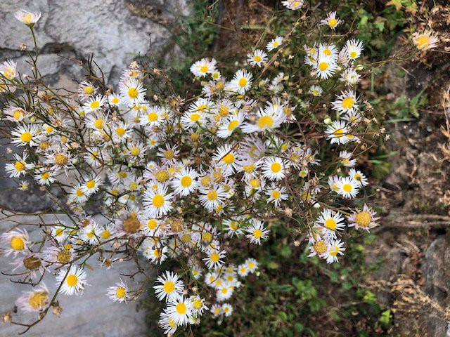 Binsar Forest Retreat主图