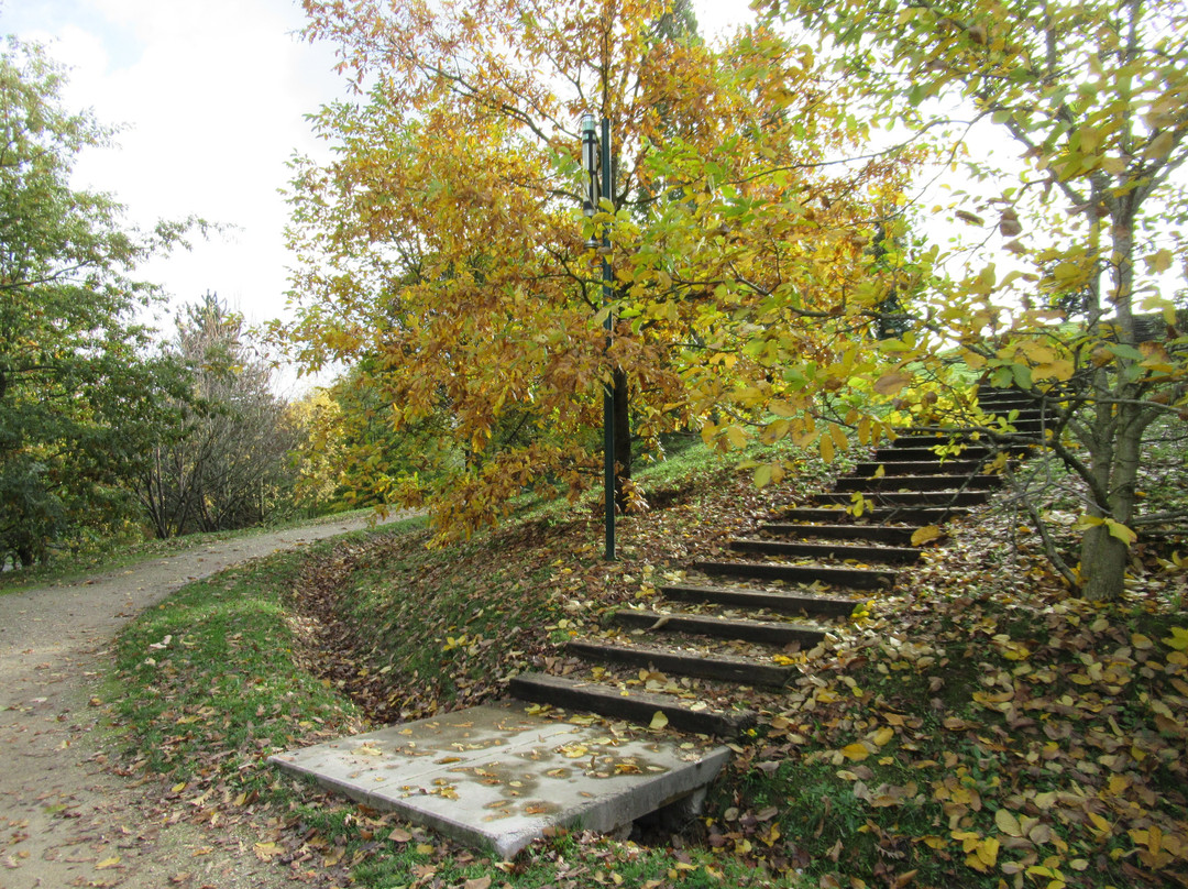 Parc Forestier du Bois de l'Étoile景点图片