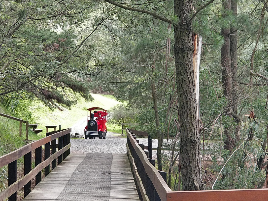 Wilson Botanic Park-伯威克必去景点