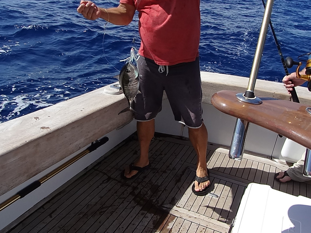 Chelsea Charters - Florida Keys Fishing-伊斯拉摩拉达必去景点