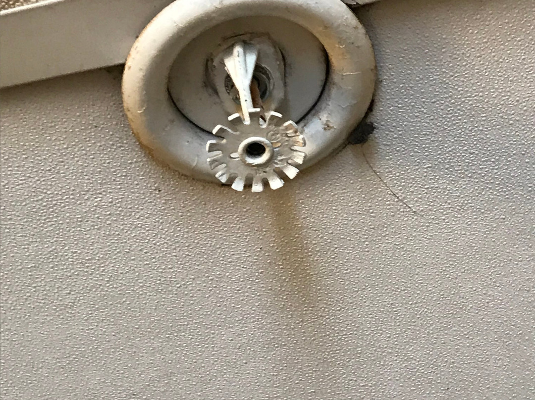 Country Inn & Suites by Radisson, Panama City, FL主图