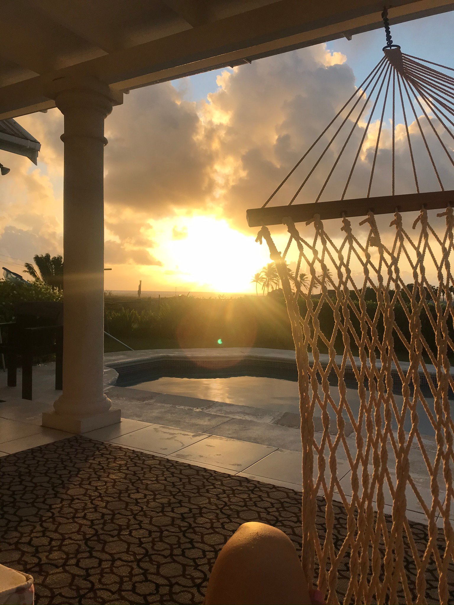 Hummingbird House-官方