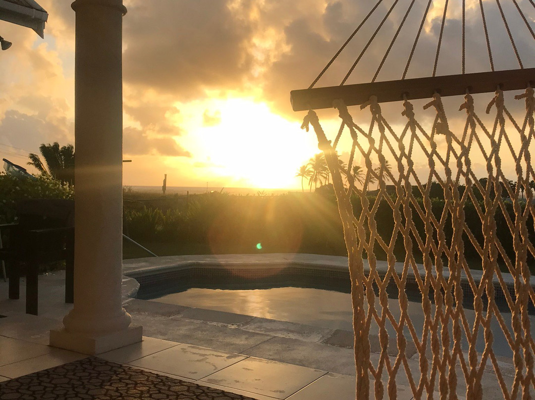 Hummingbird House主图