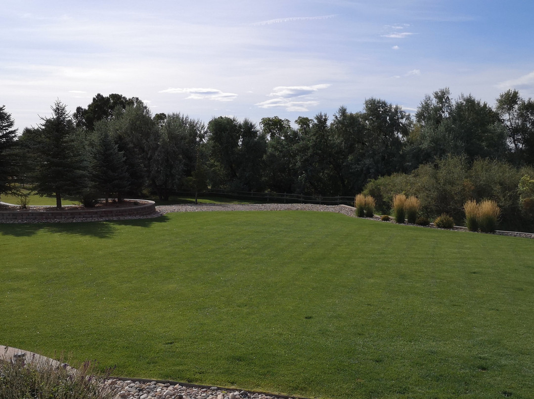 Hampton Inn & Suites Buffalo主图