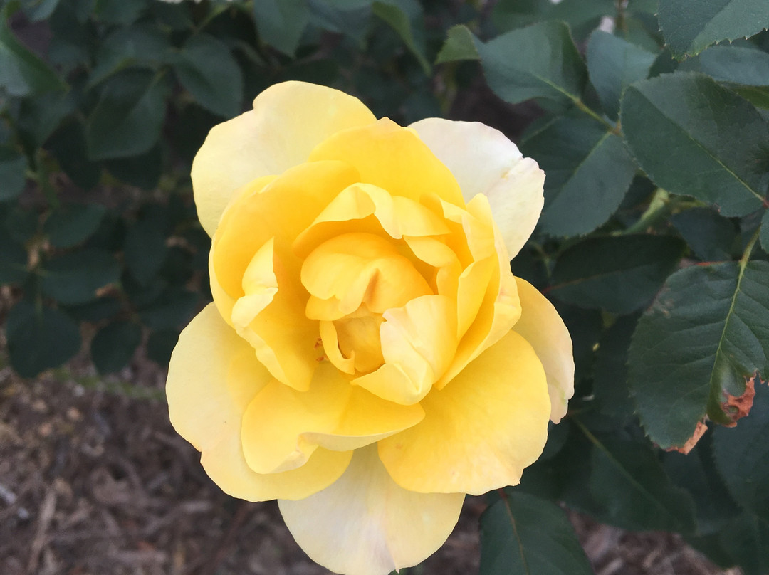 Eco Park Minamata-水俣市必去景点