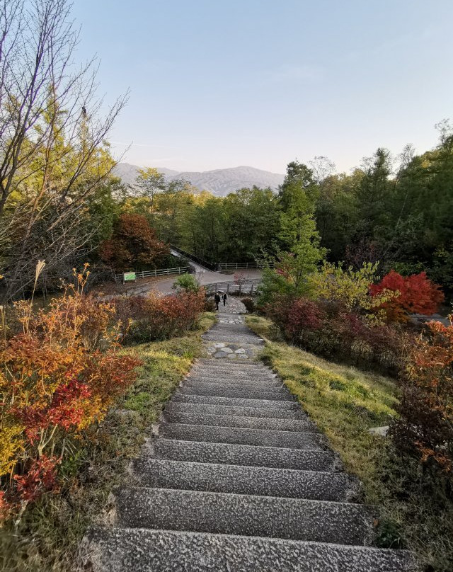 Matsumoto Alps Park-松本市必去景点