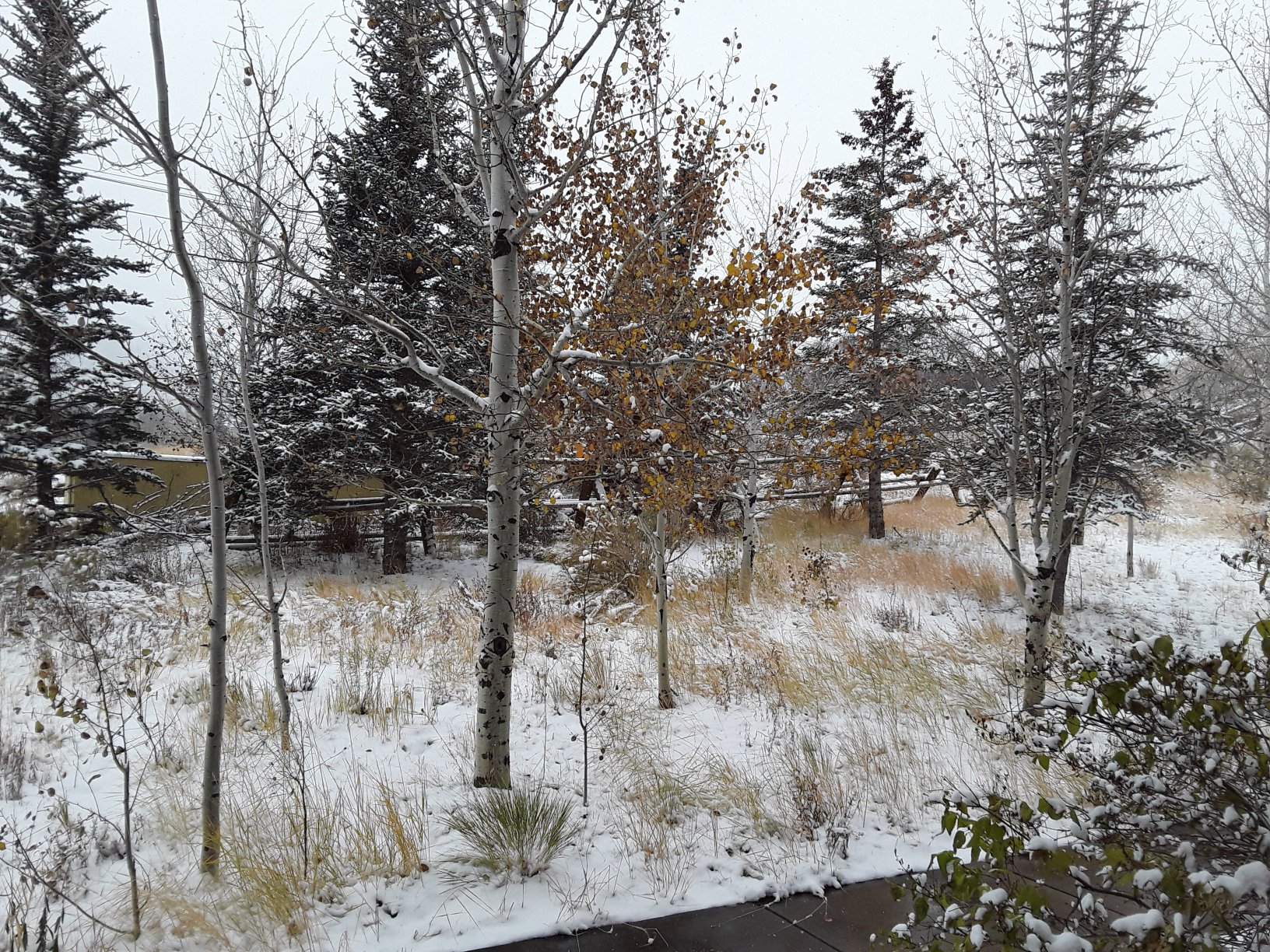 The Miners Club-浴室