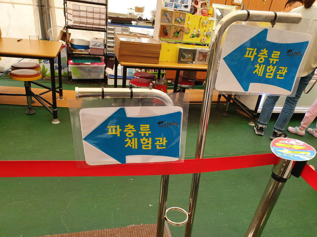 Yeoju Insect Museum-骊州郡必去景点