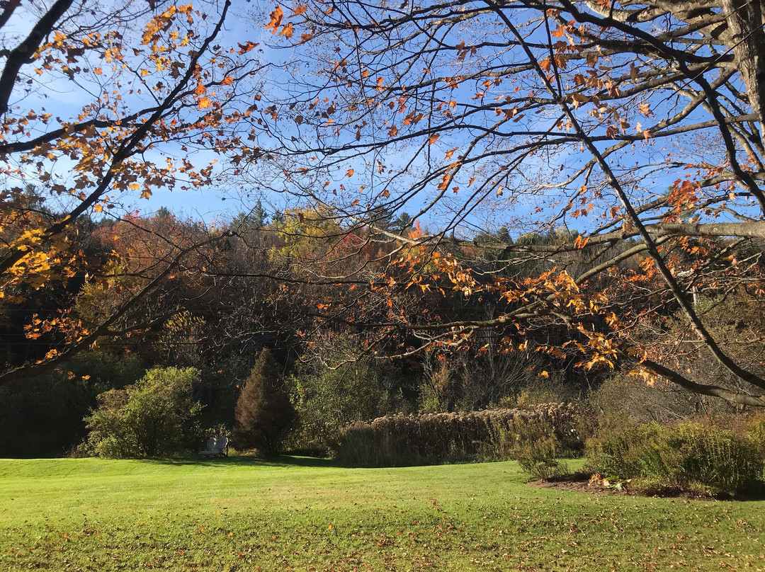 The Swanson Inn主图