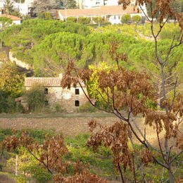 尼克・波利泰里网球学校-布雷登顿必去景点