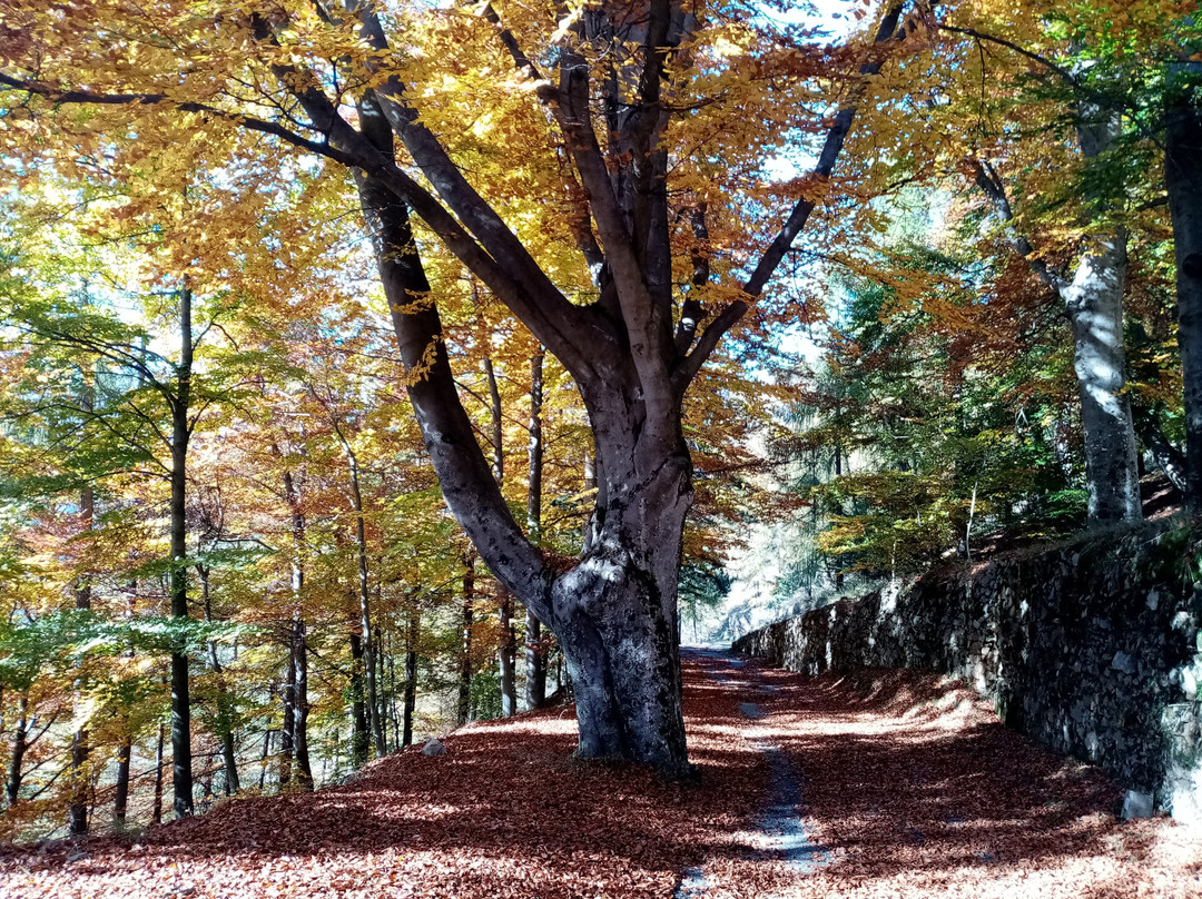 Villa dell'Arte主图