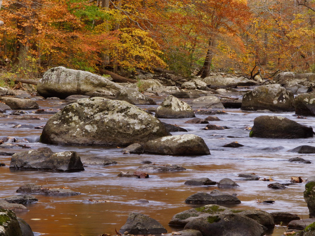 Ken Lockwood Gorge Wildlife Management Area景点图片