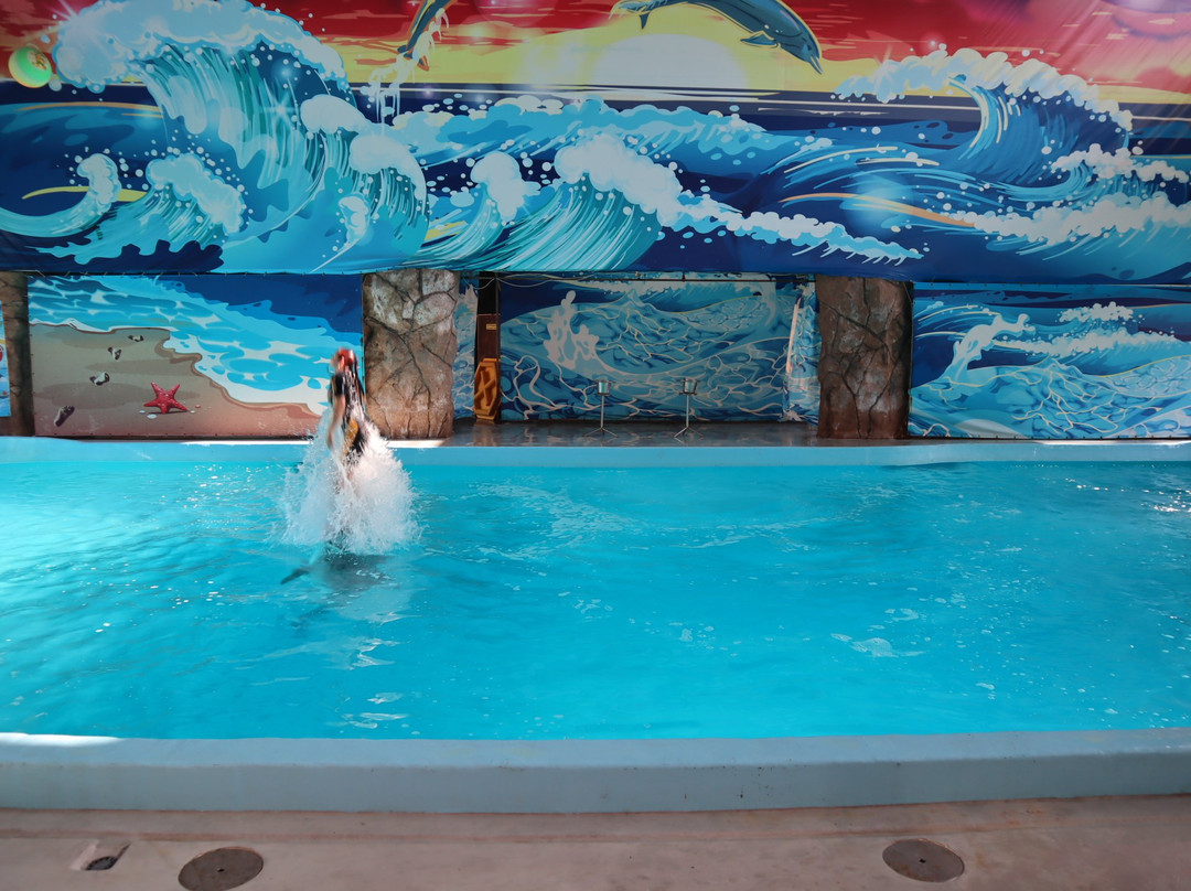 Morskaya Zvezda Dolphinarium景点图片