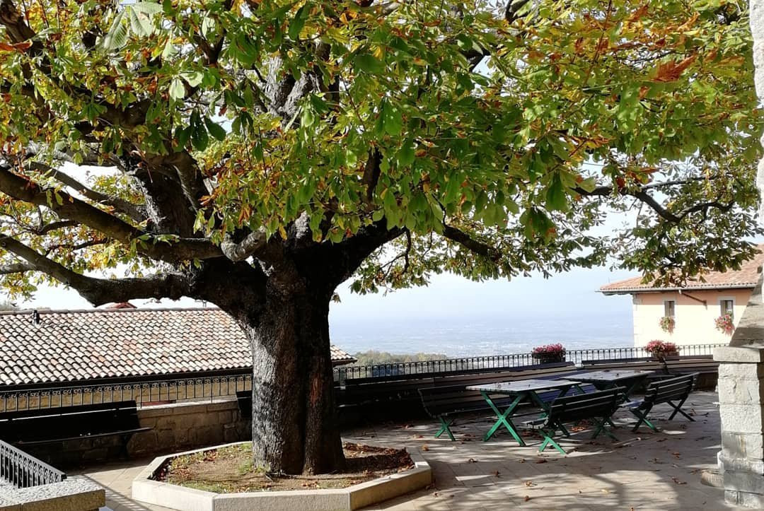 Santuario Beata Vergine di Castelmonte景点图片