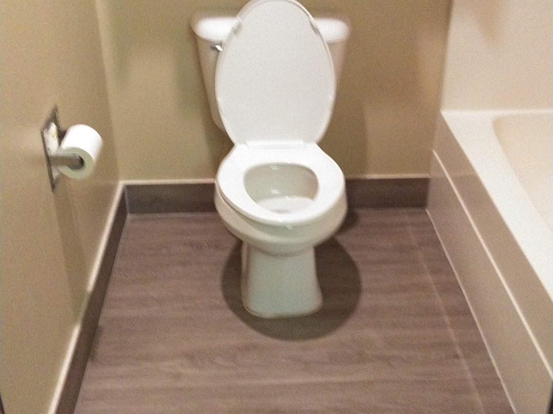 Best Western Saluki Inn主图