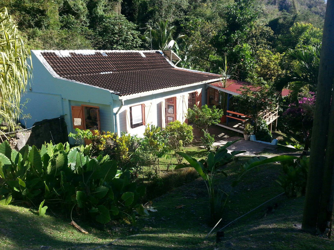 Les Anses d'Arlet旅游景点-Aux Couleurs Locales