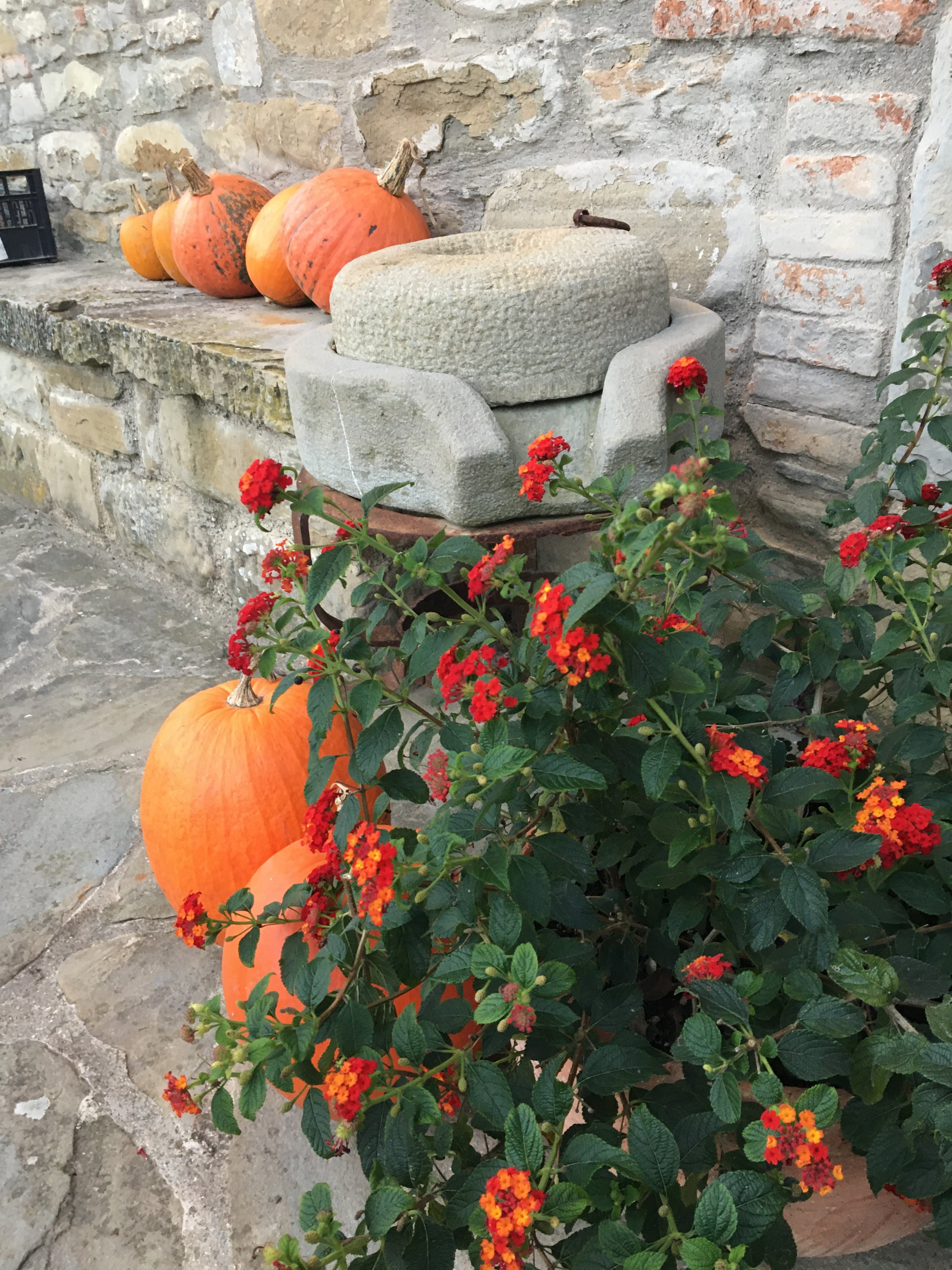 La Tavola Marche Agriturismo & Cooking School-浴室