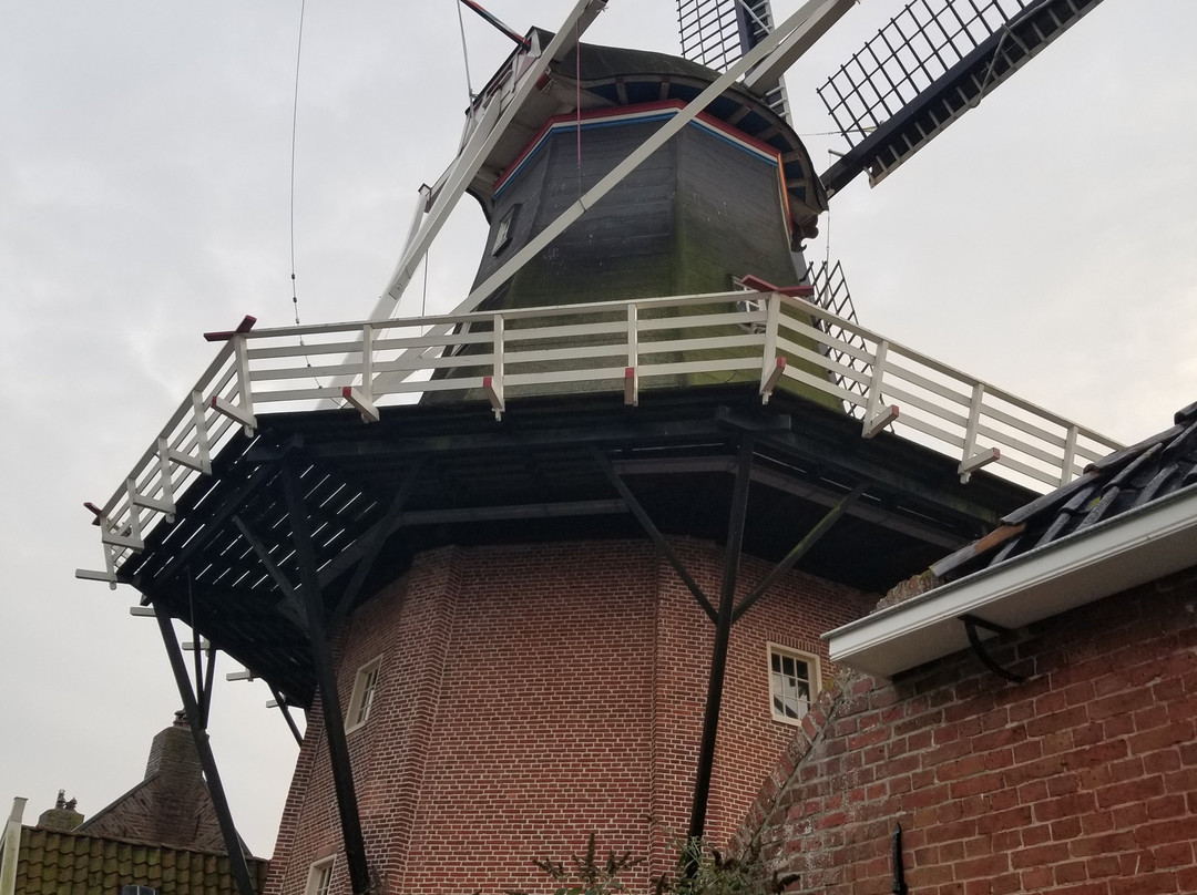 Molen Hunsingo主图